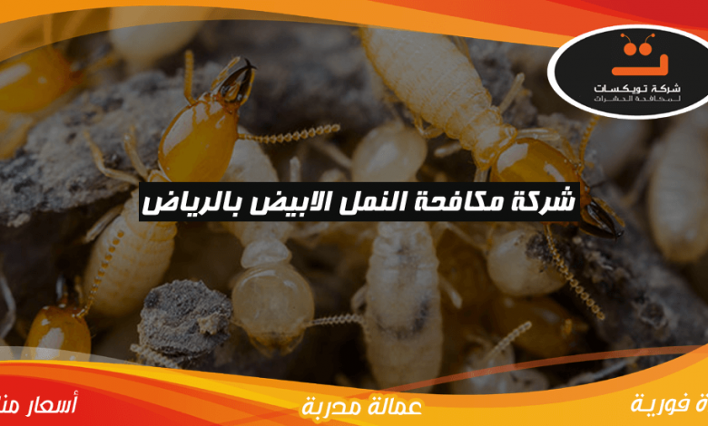 شركة مكافحة النمل الابيض بالرياض