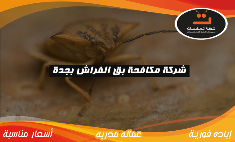 شركة مكافحة بق الفراش بجدة