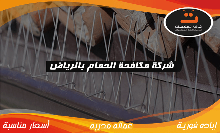 شركة مكافحة الحمام بالرياض