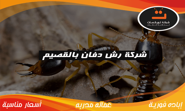 شركة رش دفان بالقصيم