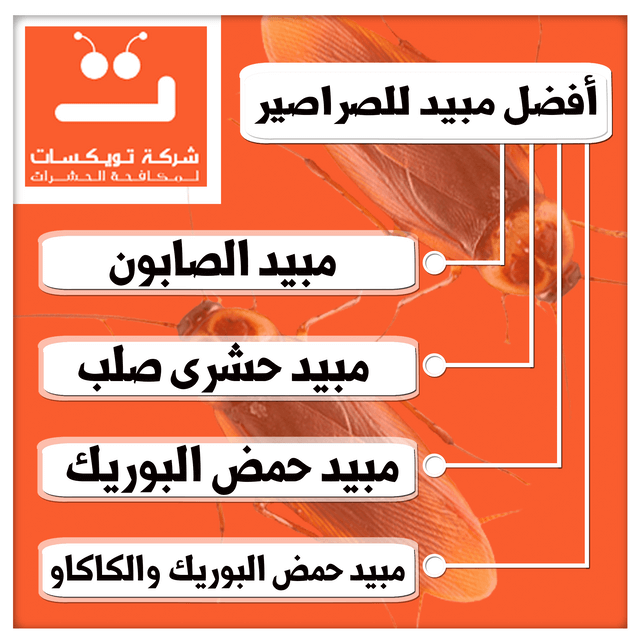 أفضل مبيد للصراصير