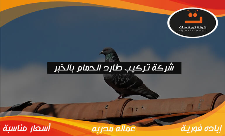 شركة تركيب طارد الحمام بالخبر