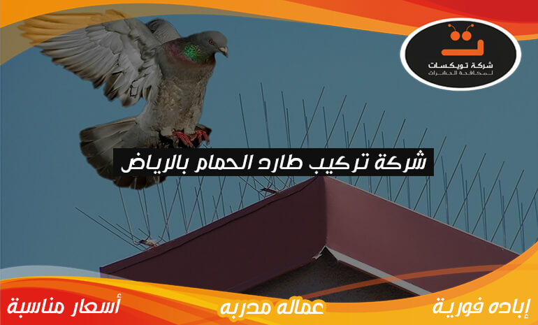 شركة تركيب طارد الحمام بالرياض