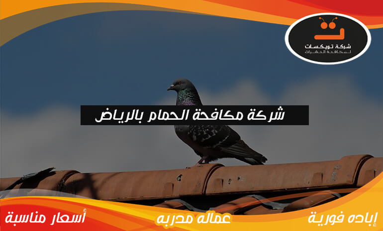 شركة مكافحة الحمام بالرياض