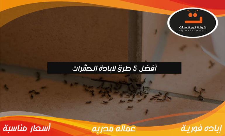 أفضل 5 طرق لابادة الحشرات