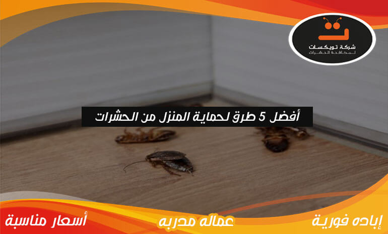 أفضل 5 طرق لحماية المنزل من الحشرات