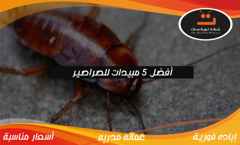 أفضل 5 مبيدات للصراصير