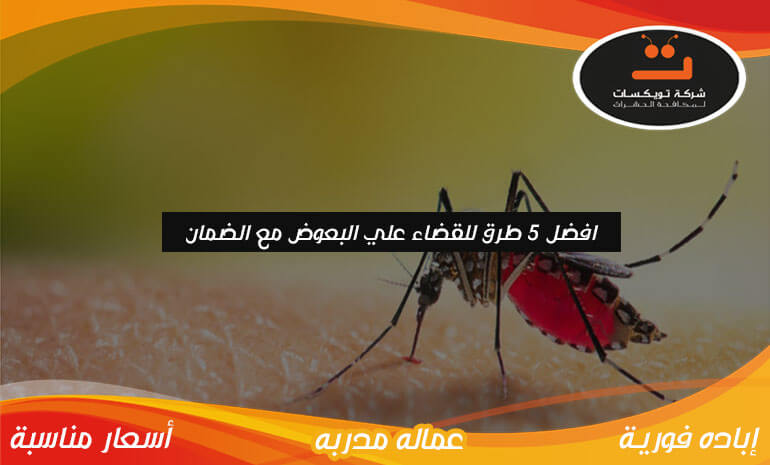 افضل 5 طرق للقضاء علي البعوض مع الضمان