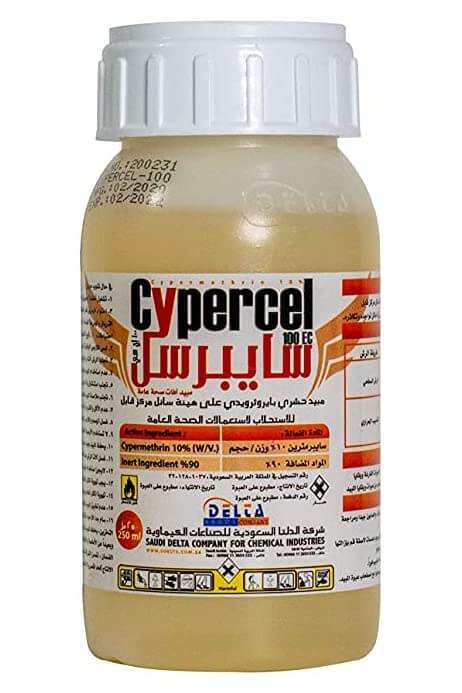 رش مبيد الصراصير في السعودية: كل ما تحتاج معرفته
