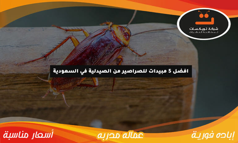 افضل 5 مبيدات للصراصير من الصيدلية في السعودية