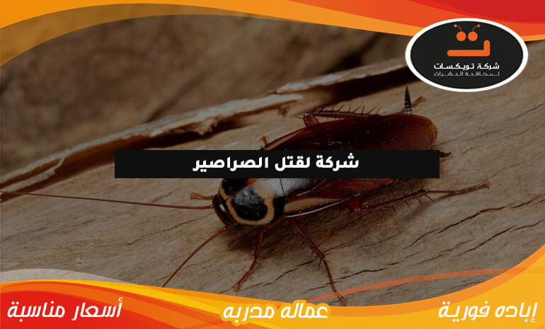 شركة لقتل الصراصير