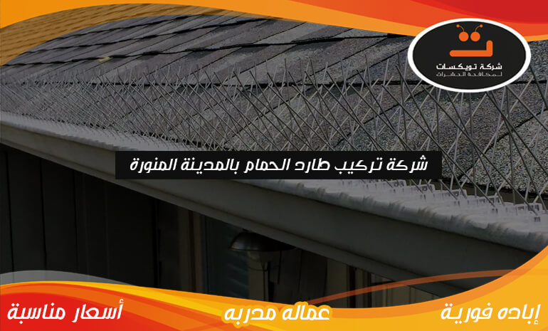شركة تركيب طارد الحمام بالمدينة المنورة