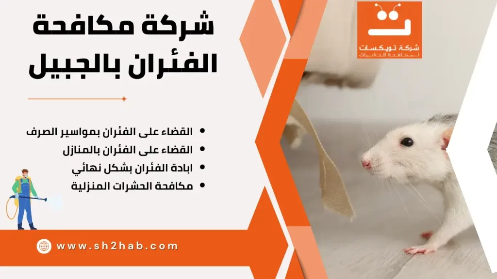 شركة مكافحة الفئران بالجبيل