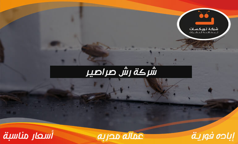 شركة رش صراصير: الحل الأمثل لمكافحة الصراصير في المملكة العربية السعودية