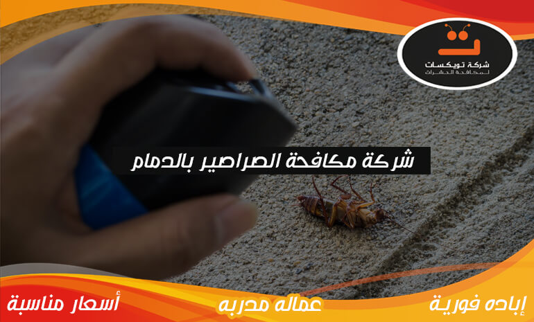 شركة مكافحة الصراصير بالدمام