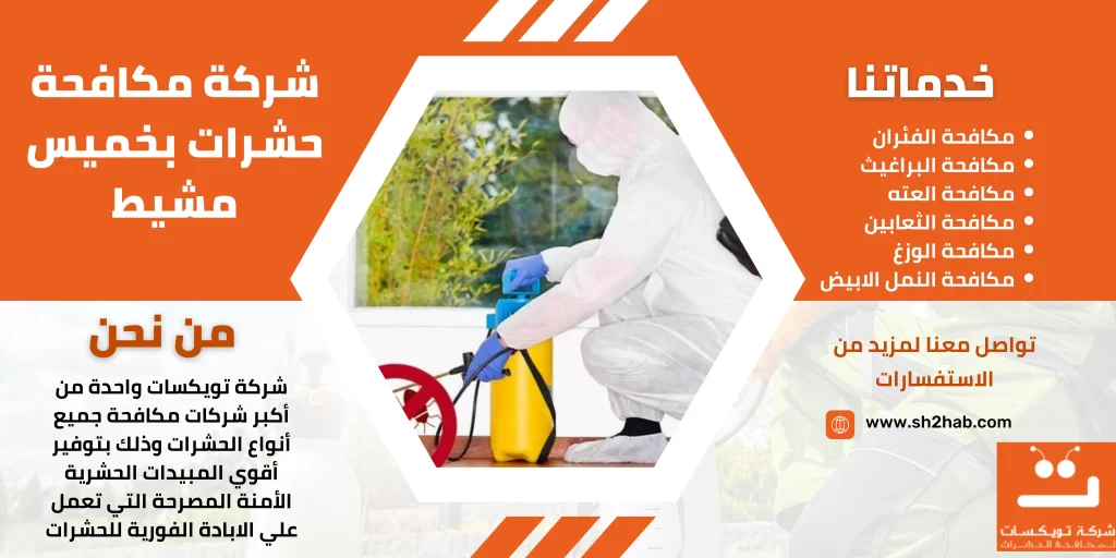 شركة مكافحة حشرات بخميس مشيط