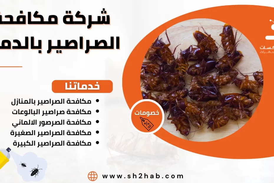 شركة مكافحة الصراصير بالدمام