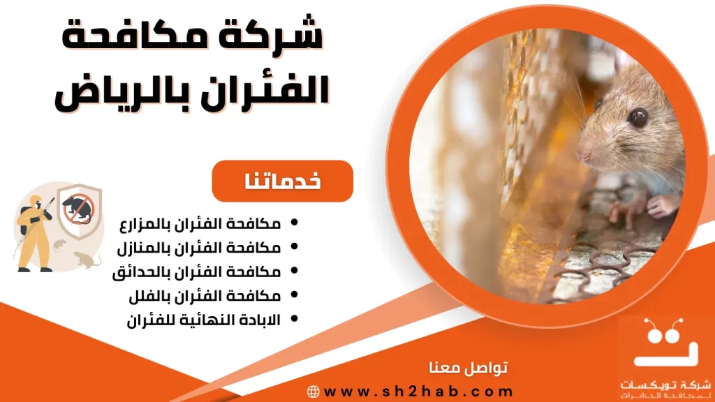 شركة مكافحة الفئران بالرياض