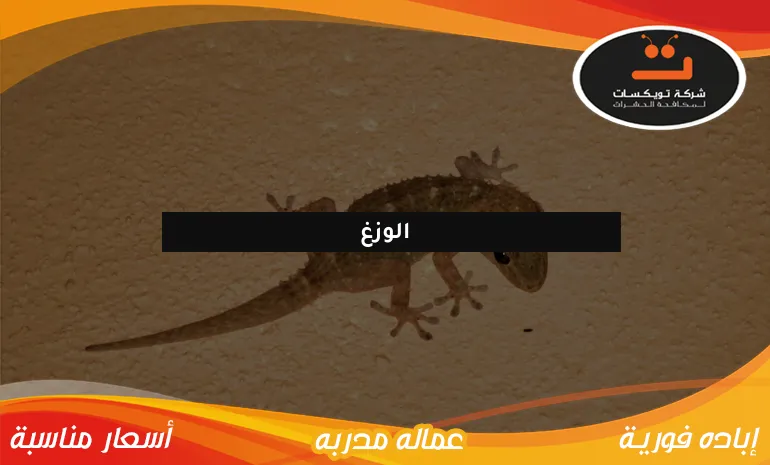 الوزغ