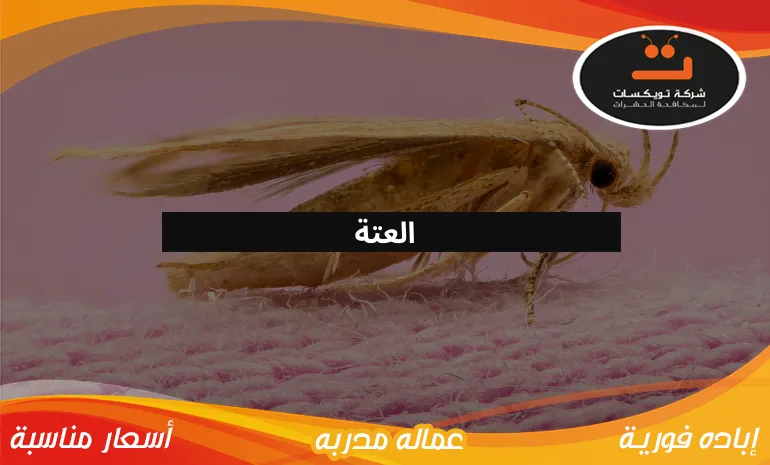 العتة