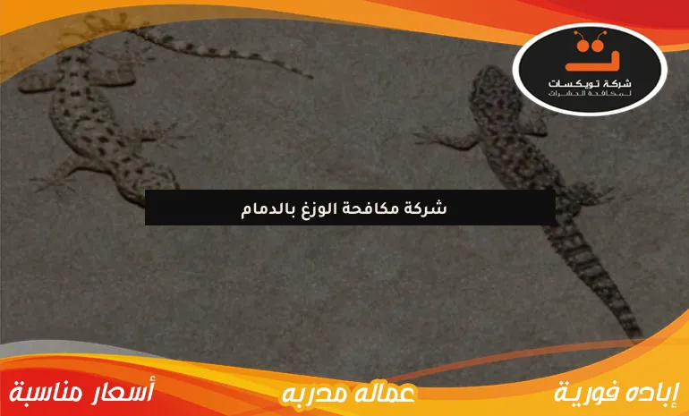 شركة مكافحة الوزغ بالدمام