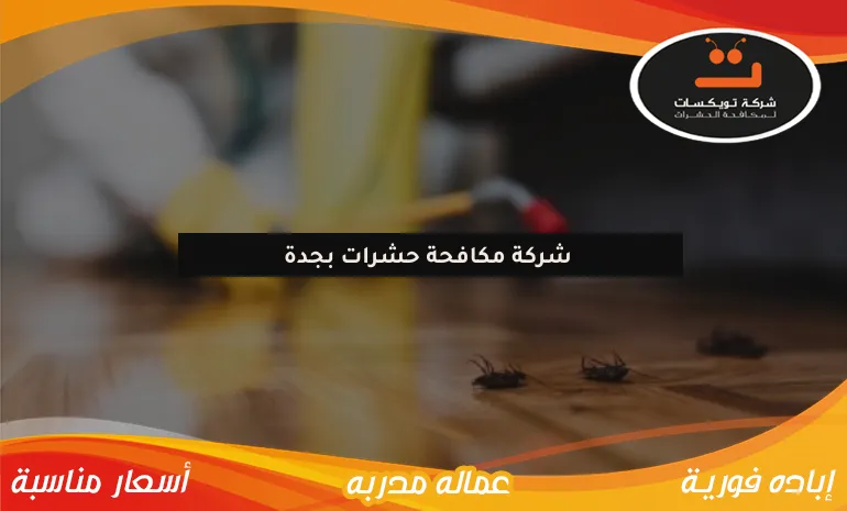 شركة مكافحة حشرات بجدة