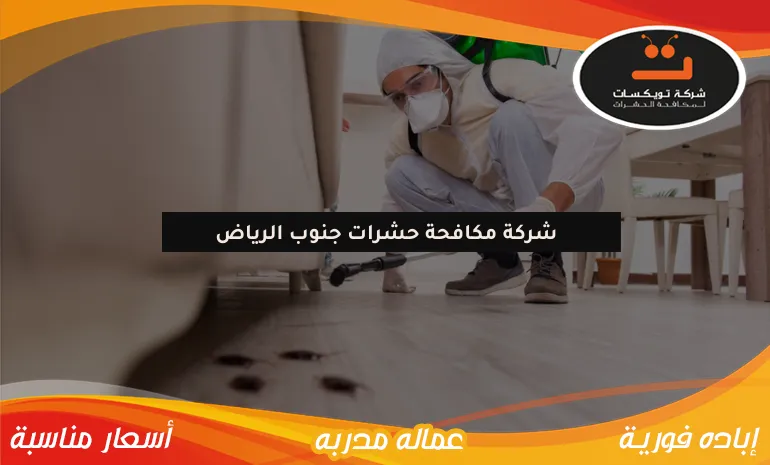شركة مكافحة حشرات جنوب الرياض