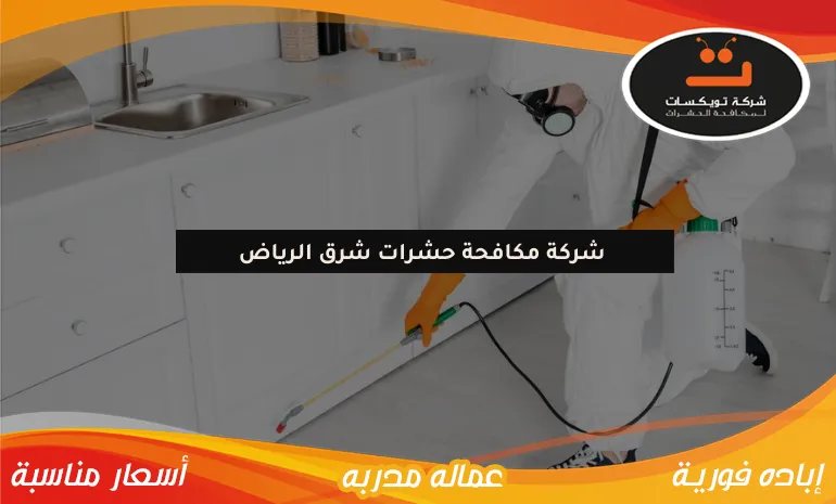 شركة مكافحة حشرات شرق الرياض