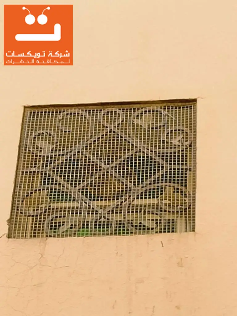 تركيب شبك مانع الحمام