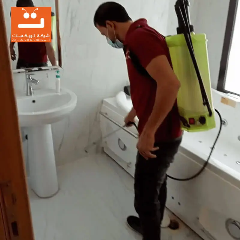 شركة حشرات