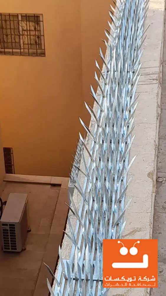 مكافحة الحمام