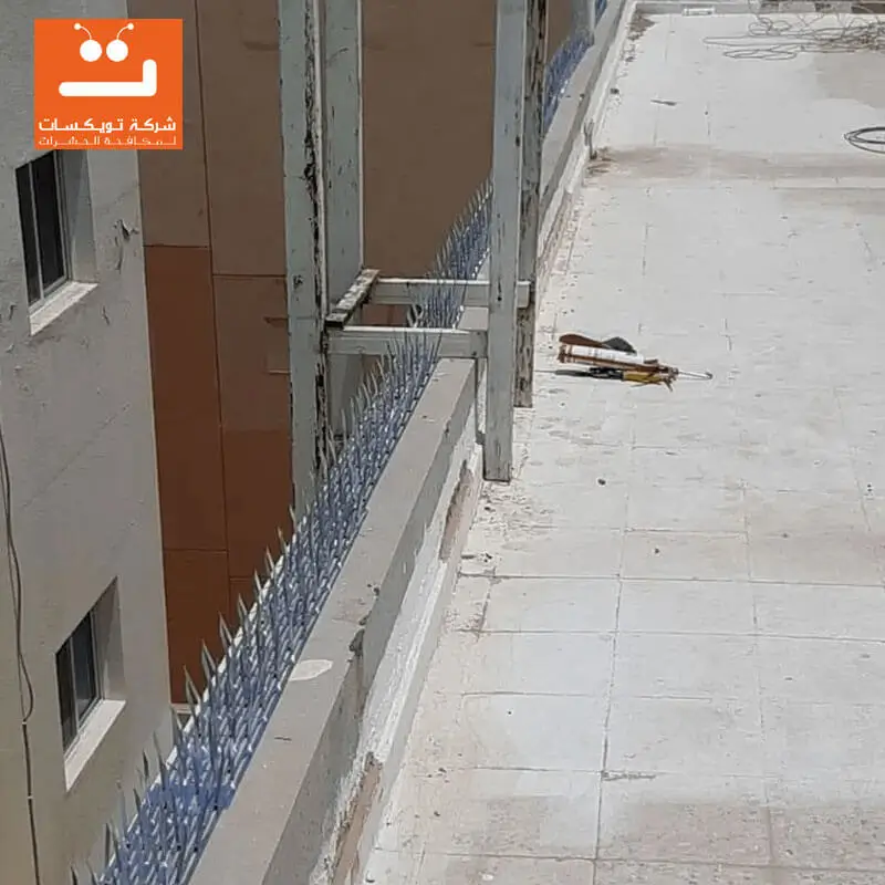 مكافحة حمام