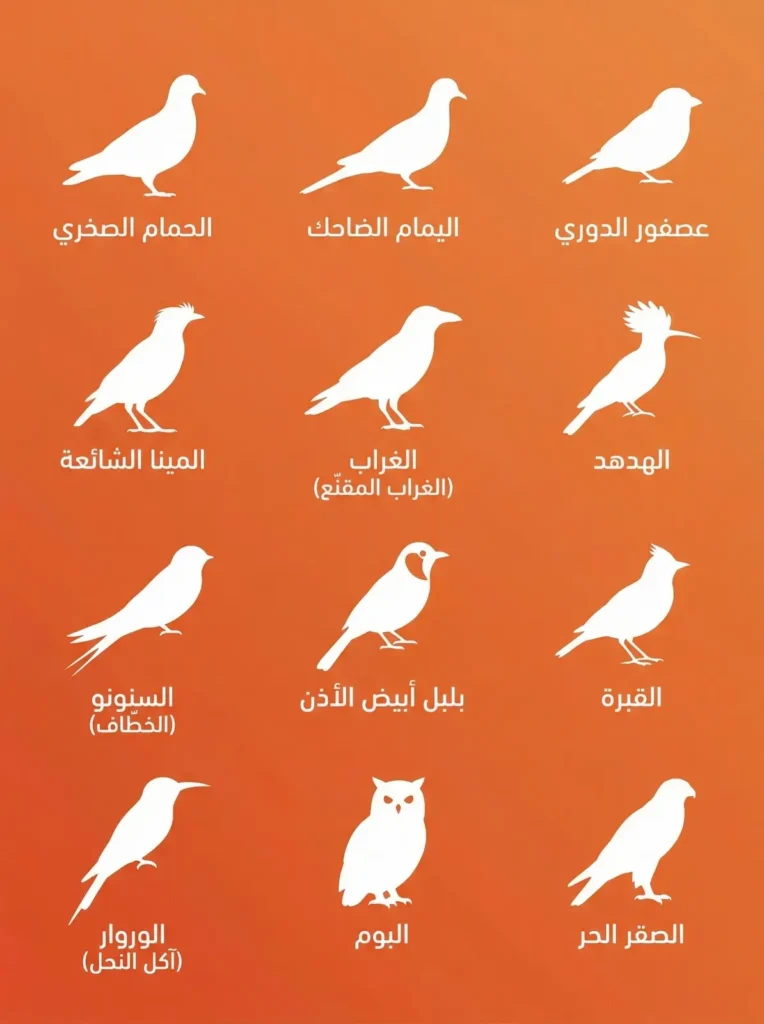 انواع الطيور التي نكافحها