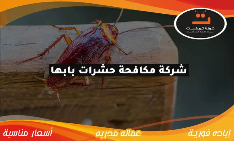 شركة-مكافحة-حشرات-بابها