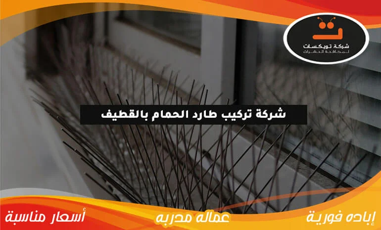 شركة تركيب طارد الحمام بالقطيف